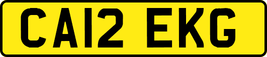 CA12EKG