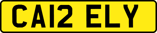 CA12ELY