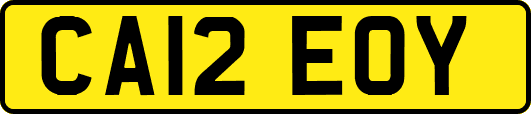 CA12EOY