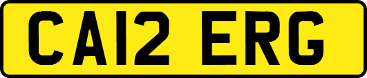 CA12ERG