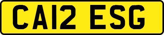 CA12ESG