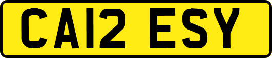 CA12ESY