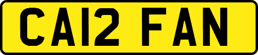 CA12FAN