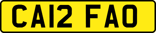 CA12FAO