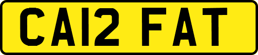 CA12FAT