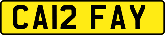 CA12FAY