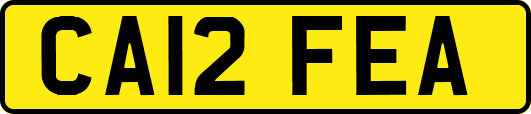 CA12FEA