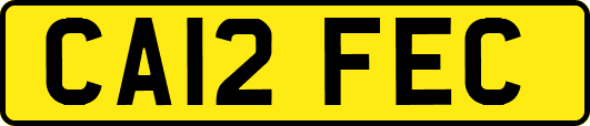 CA12FEC