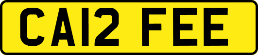 CA12FEE