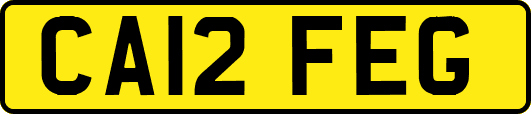 CA12FEG