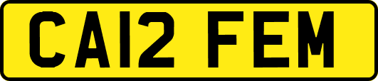 CA12FEM