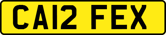 CA12FEX