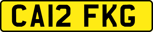 CA12FKG