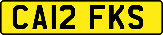 CA12FKS