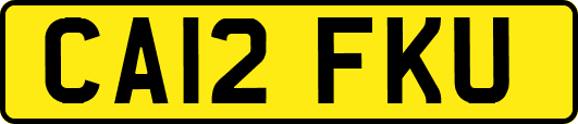 CA12FKU