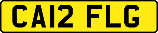 CA12FLG