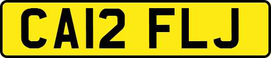 CA12FLJ