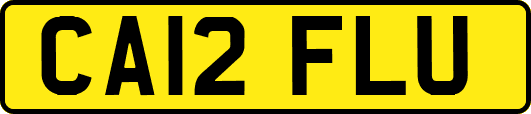 CA12FLU
