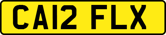 CA12FLX