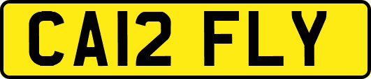 CA12FLY
