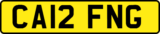 CA12FNG