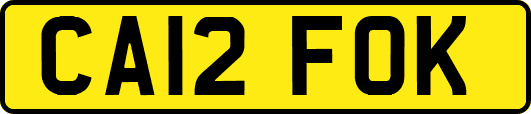 CA12FOK