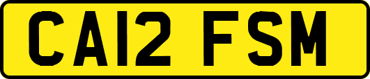 CA12FSM