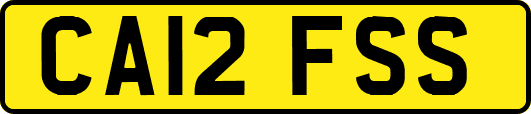 CA12FSS