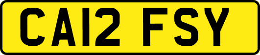 CA12FSY