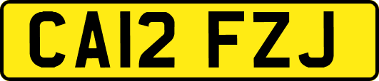 CA12FZJ