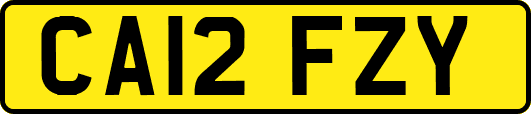 CA12FZY