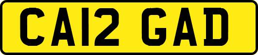 CA12GAD