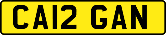 CA12GAN