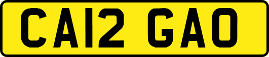 CA12GAO
