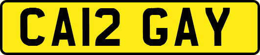 CA12GAY