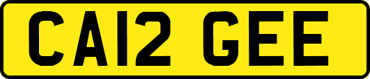 CA12GEE