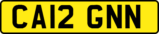 CA12GNN