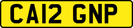 CA12GNP