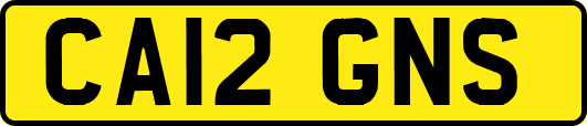 CA12GNS