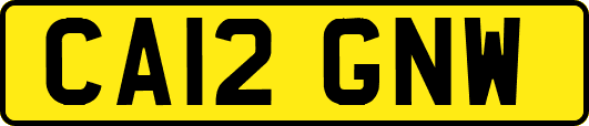 CA12GNW