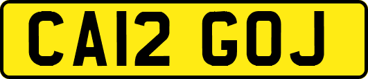 CA12GOJ