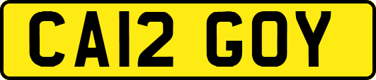 CA12GOY