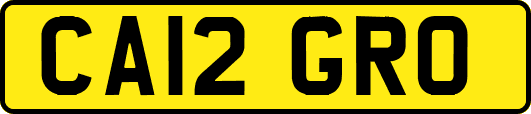 CA12GRO