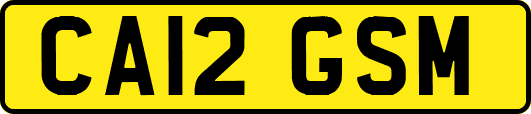 CA12GSM