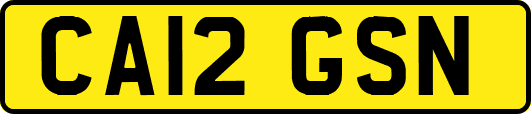 CA12GSN