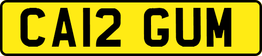 CA12GUM