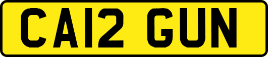 CA12GUN
