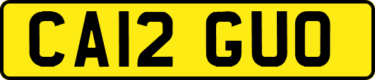CA12GUO