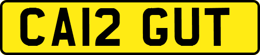 CA12GUT