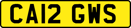 CA12GWS